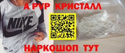 шишки Кингисепп