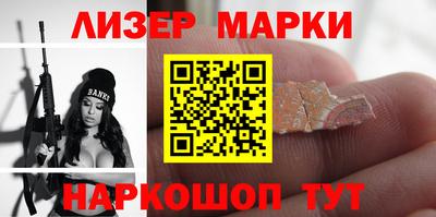 шишки Кингисепп