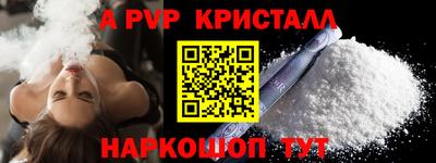 шишки Кингисепп