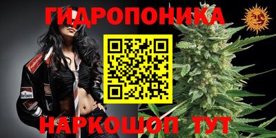 кокаин перу Камышлов
