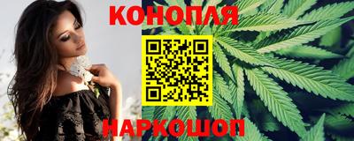 шишки Кингисепп