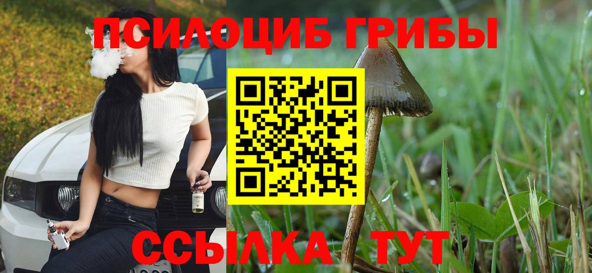 Галлюциногенные грибы MAGIC MUSHROOMS  Вход с VPN  Кропоткин 